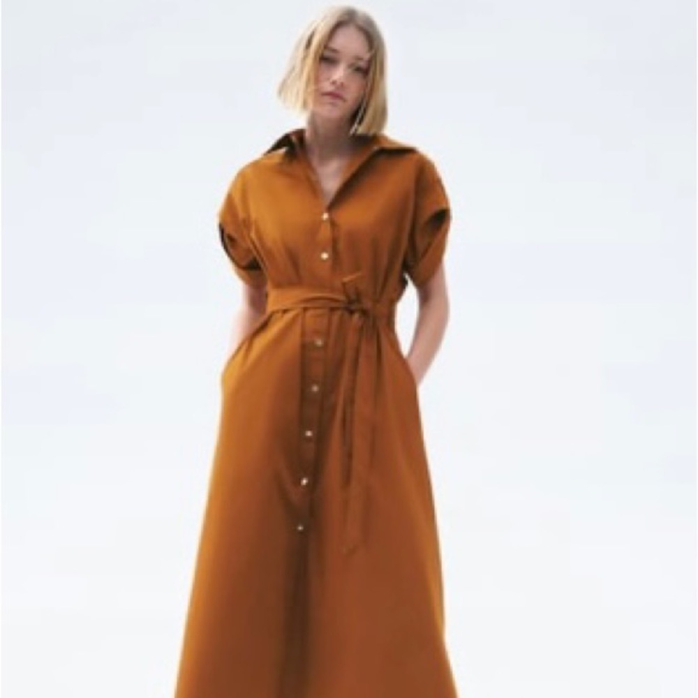 Zara Midi Shirt Dress